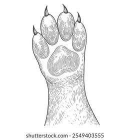 Patas de Cachorro, Vetor Desenhado à Mão, Estilo Gráfico, Ilustração de Desenho Animado, Preto e Branco, Estilo de Esboço, Isolado no Fundo Branco