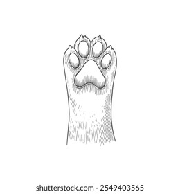 Patas de Cachorro, Vetor Desenhado à Mão, Estilo Gráfico, Ilustração de Desenho Animado, Preto e Branco, Estilo de Esboço, Isolado no Fundo Branco