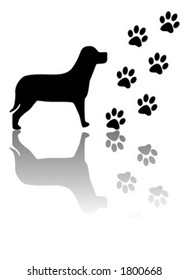 Dog and paws silhouettes