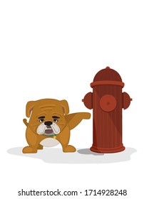 why do dogs like to pee on fire hydrants