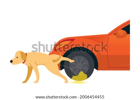 Dog Peeing on Tire and Wheel, Behavior Problem and Bad Habits