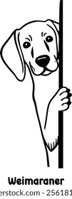 dog, peeking, clipart, eps, illustrator