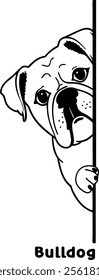 dog, peeking, clipart, eps, illustrator