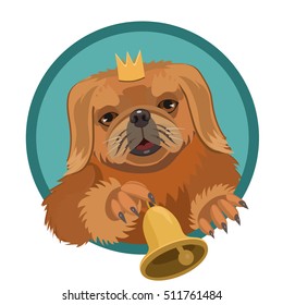 Dog Pekingese demanding Princess
