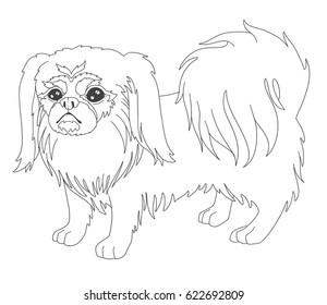 Dog pekingese line hand draw contour for coloring book.