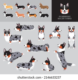 Dog Pembroke Welsh Corgi Blue Merle Tan Point Coat Cartoon Vector Illustration Color Variation Set