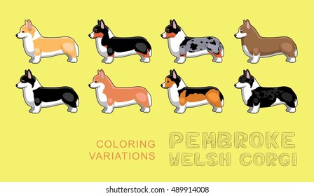 Dog Pembroke Welsh Corgi Coloring Variations Vector Illustration