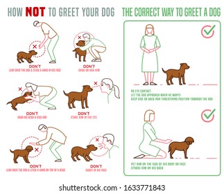 Dog and people behavior horizontal poster. Correct way to greet a dog. Domestic animal or pet language. Learning process. Simple infographic. Editable vector illustration isolated on white background