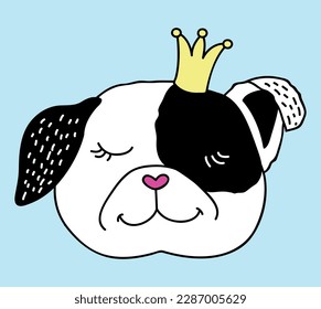 dog, pet, animal, cat, cute