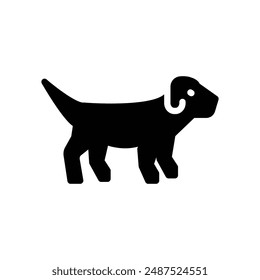 dog pet animal icon solid style