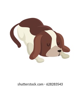 dog pet animal sleeping image