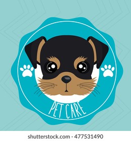 dog pet care icon