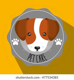 dog pet care icon