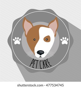 dog pet care icon