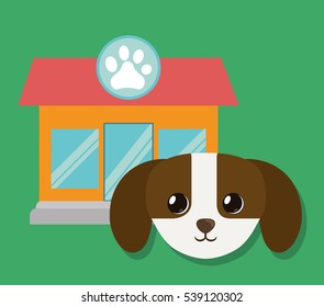 dog pet care related icons image vector illustration design 