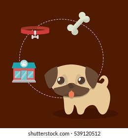 dog pet care related icons image vector illustration design 