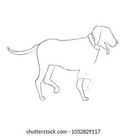 Dog pet cartoon
