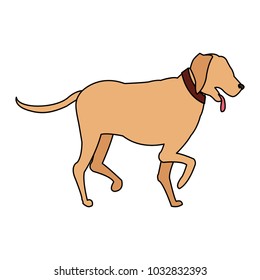 Dog pet cartoon