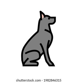 dog pet color icon vector. dog pet sign. isolated symbol illustration