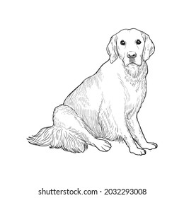 犬 横顔 イラスト の画像 写真素材 ベクター画像 Shutterstock