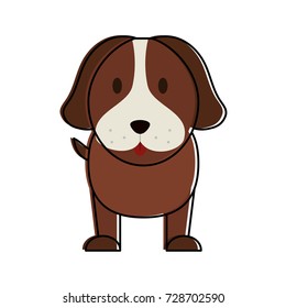 dog pet face icon image