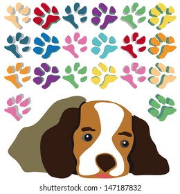 Dog and pet footprints.