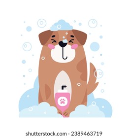 Dog pet grooming. Caring about dog Labrador. Pet washing service. Happy bathing pet. Flat vector illustration