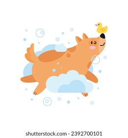 Dog pet grooming. Caring about dog. Pet washing service. Happy bathing pet. Flat vector illustration