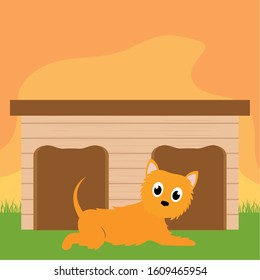 Dog in a pet house - Vector illustration design