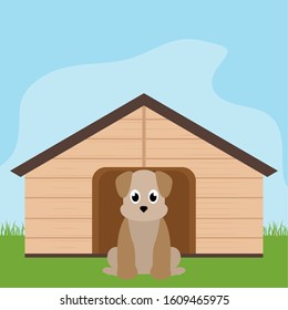 Dog in a pet house - Vector illustration design