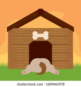 Dog in a pet house - Vector illustration design