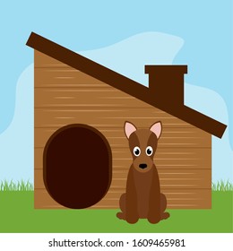 Dog in a pet house - Vector illustration design