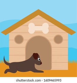 Dog in a pet house - Vector illustration design