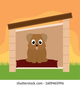 Dog in a pet house - Vector illustration design