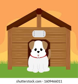 Dog in a pet house - Vector illustration design