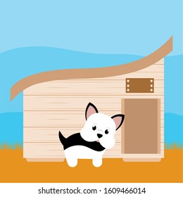 Dog in a pet house - Vector illustration design