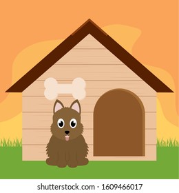 Dog in a pet house - Vector illustration design