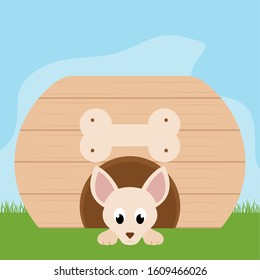 Dog in a pet house - Vector illustration design