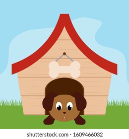 Dog in a pet house - Vector illustration design