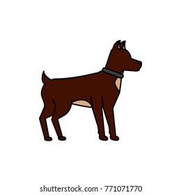 dog pet icon image 