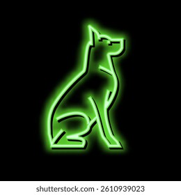 dog pet neon light sign vector. dog pet illustration