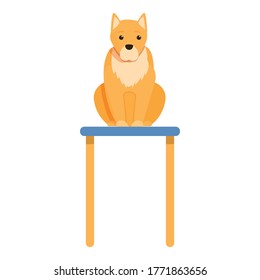 Dog pet on table icon. Cartoon of dog pet on table vector icon for web design isolated on white background