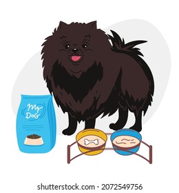 Dog pet puppy sitting with the food bowl gift food.dog breed pomeranian spitz. the dog is standing next to a bowl of food and a pack of food