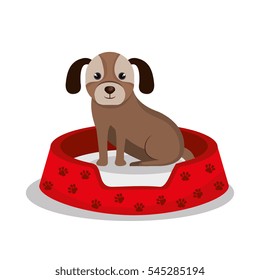 dog pet shop icon