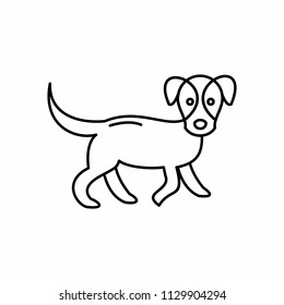 Dog pet simple  icon
