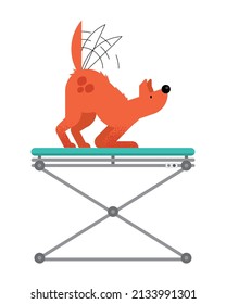 dog pet in stretcher character