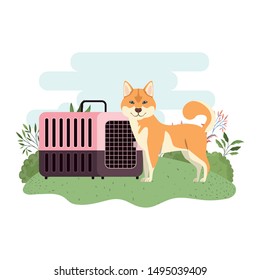 dog and pet transport box with background landscape