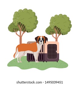 dog and pet transport box with background landscape
