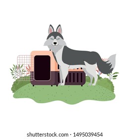 dog and pet transport box with background landscape