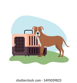 dog and pet transport box with background landscape